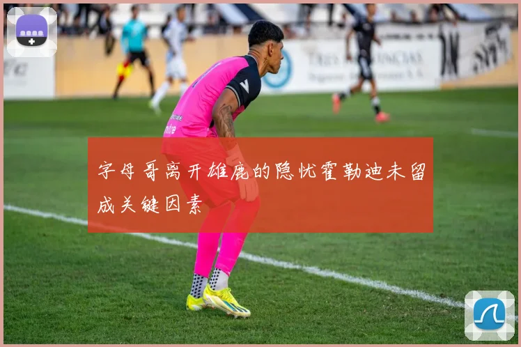 字母哥离开雄鹿的隐忧霍勒迪未留成关键因素